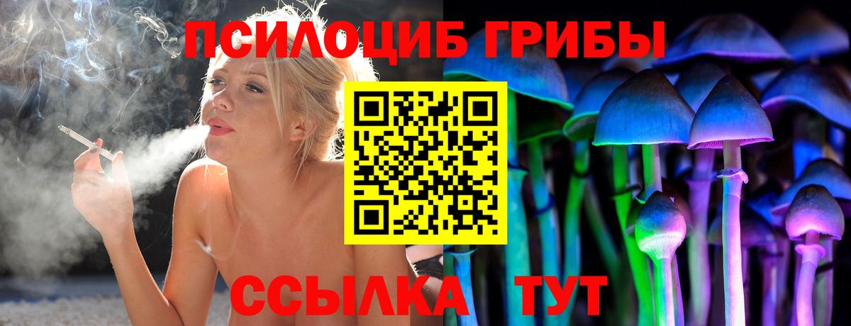 Сокол  Галлюциногенные грибы Magic Shrooms  цены наркотик  Вход с VPN 