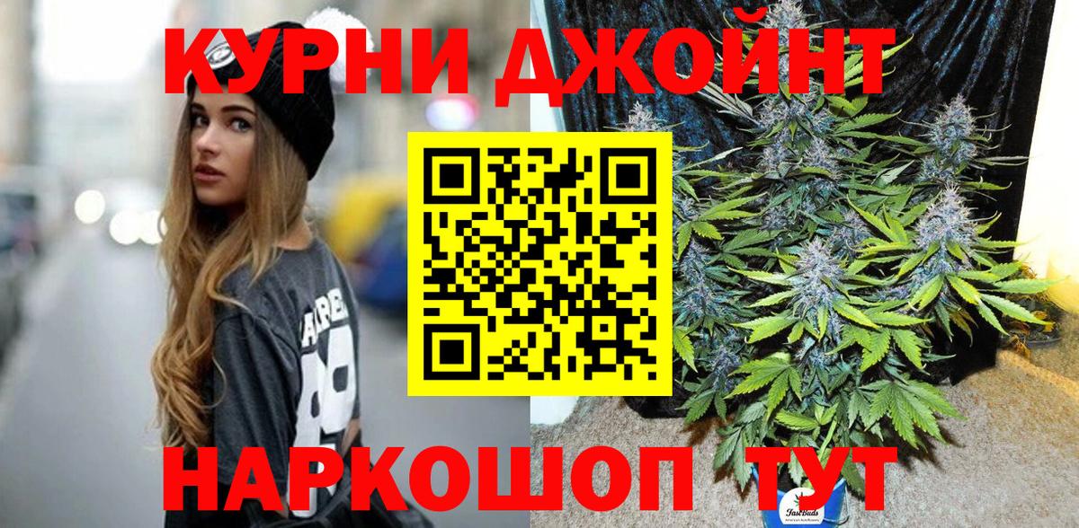 МАРИХУАНА гибрид Сокол